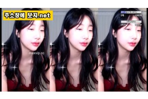 야동의민족 검색
